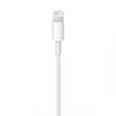 Apple Lightning to USB Cable 2m