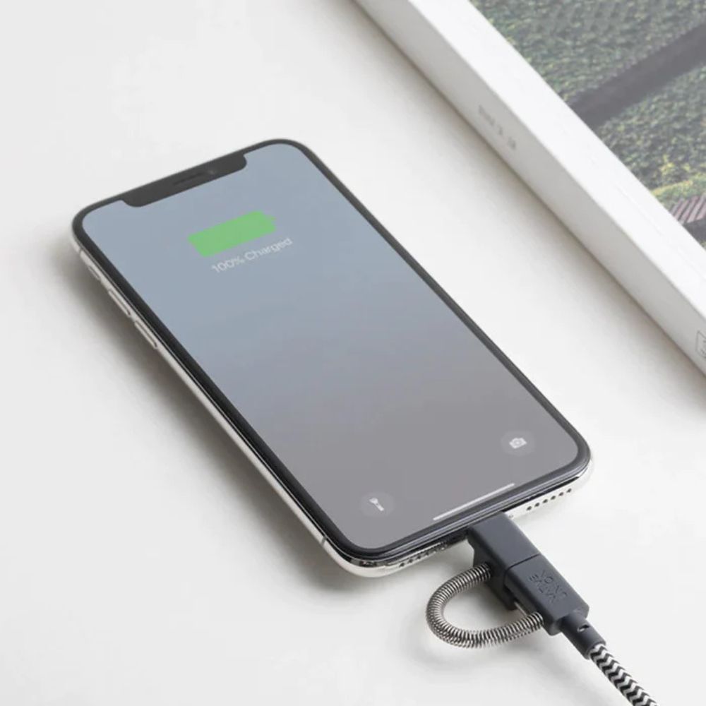 Native Union Belt Cable Universal 2m (Zebra)