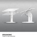 Momax Adjustable Multipurpose Learning Stand (White)