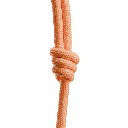 Native Union Universal City Sling (Apricot)