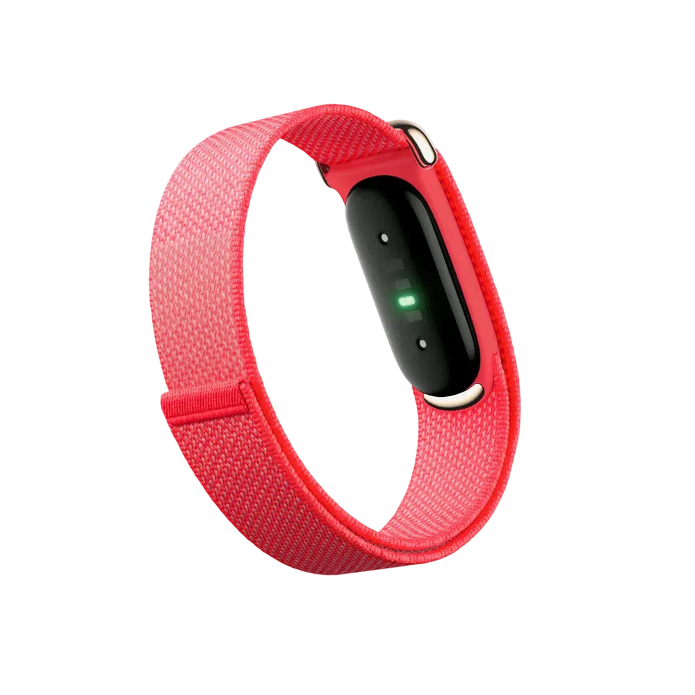 Google Fitbit  Air Fitness Tracker (Berry)