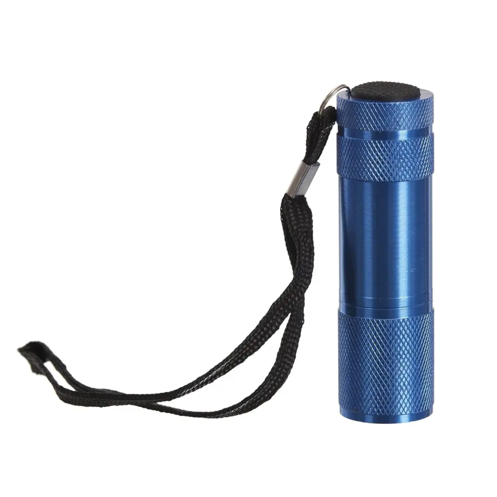 Mini 9 LED Aluminum Flashlight (Blue)